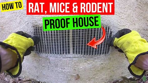 Mouse Magic: How Its Unique Formula Deters Mice from Your Property